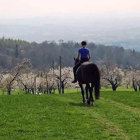 Appartamento Hochlandappartement Dresda