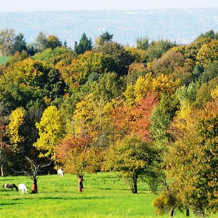 Hochlandappartement * Dresda