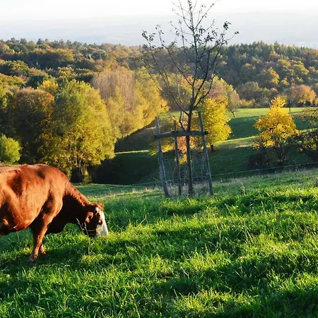 Hochlandappartement * Dresda