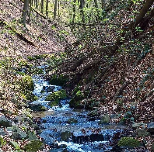 公寓 Hochlandappartement *