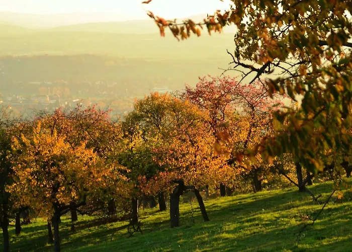 公寓 Hochlandappartement 德累斯顿