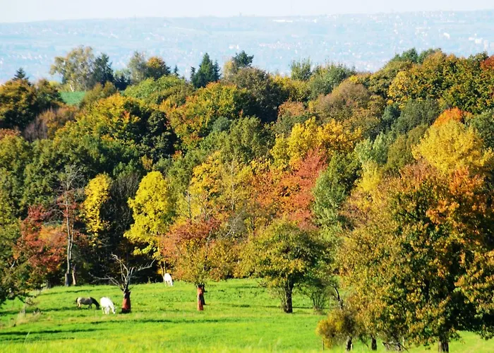 Hochlandappartement * 德累斯顿