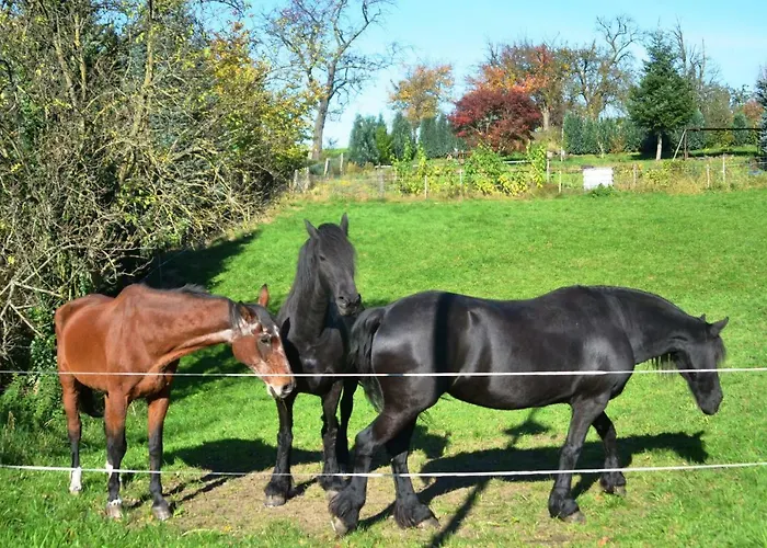 公寓 Hochlandappartement