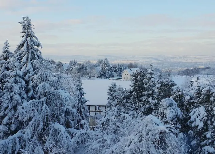 Hochlandappartement 德累斯顿