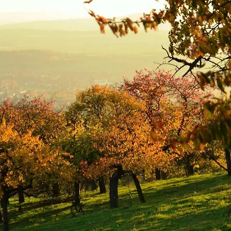 公寓 Hochlandappartement 德累斯顿