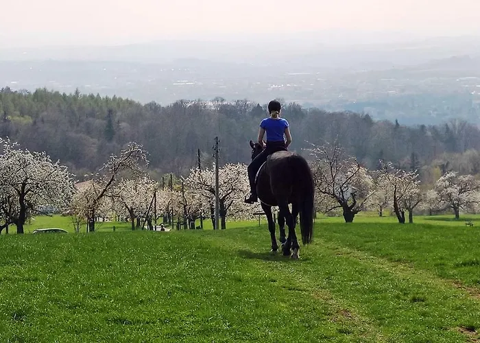 Apartment Hochlandappartement Dresden