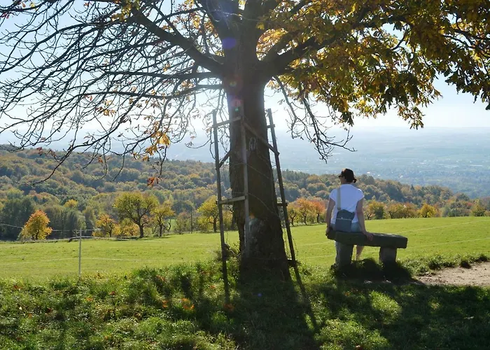 Hochlandappartement Dresden